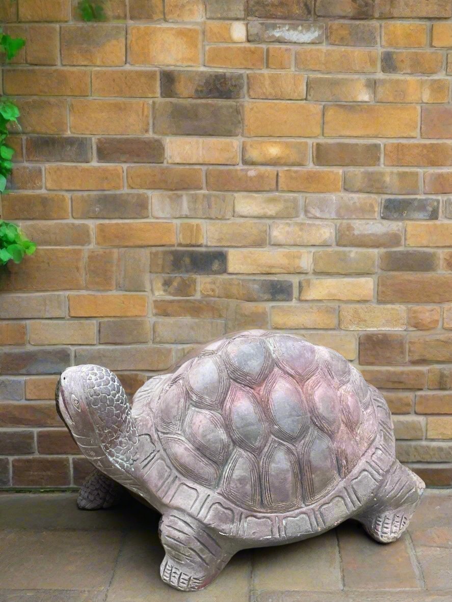 Terracotta Tortoise